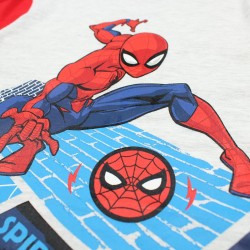 Ensemble Spiderman