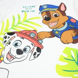 Ensemble Paw Patrol