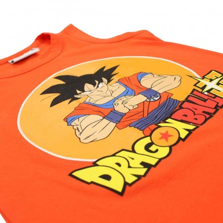 Ensemble DragonBall Z