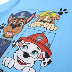 Ensemble Paw Patrol