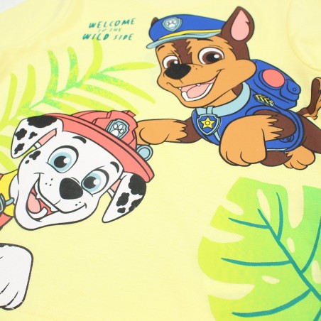 Ensemble Paw Patrol