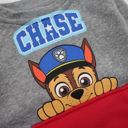 Sweat Paw Patrol