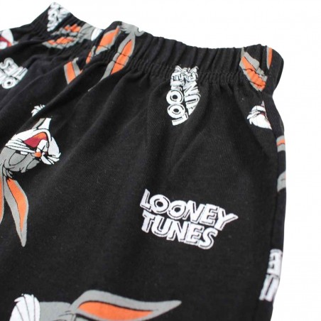 Ensemble Looney Tunes