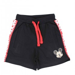 Ensemble Mickey