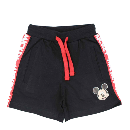 Ensemble Mickey