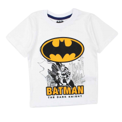 Ensemble Batman