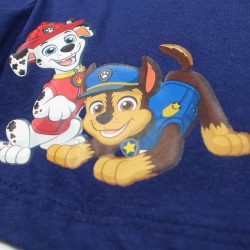 Ensemble Paw patrol