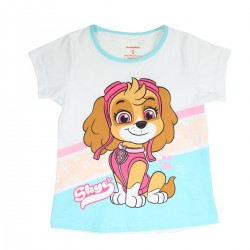 Ensemble Paw Patrol