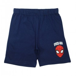 Ensemble Spiderman