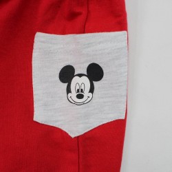 Ensemble bebe Mickey