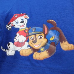 Ensemble Paw patrol