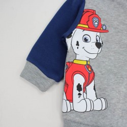 Jogging Paw Patrol