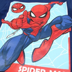 Ensemble Spiderman