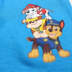 Ensemble Paw patrol