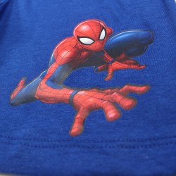 Ensemble Spiderman