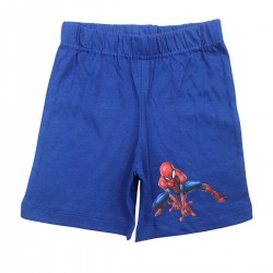 Ensemble Spiderman