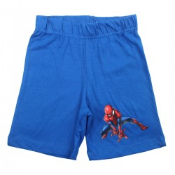 Ensemble Spiderman