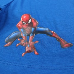 Ensemble Spiderman