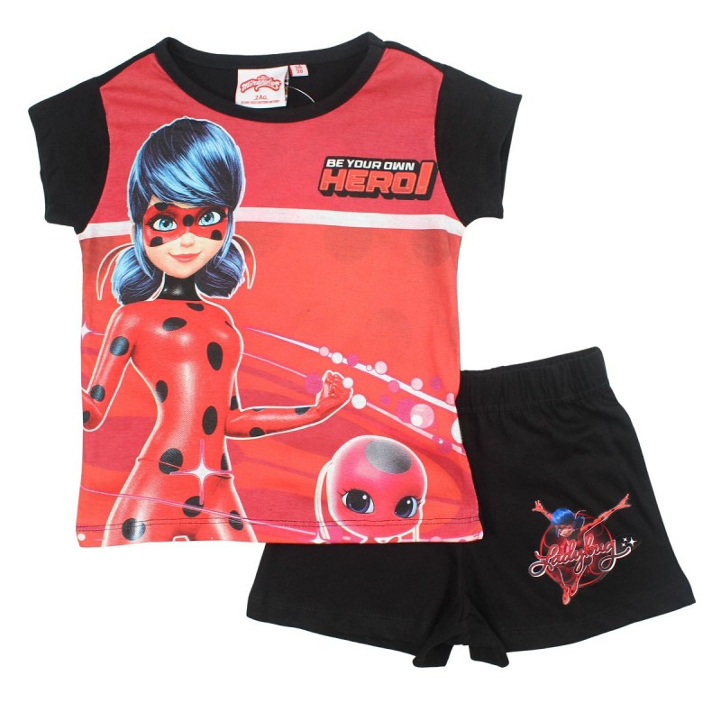 Ensemble Ladybug