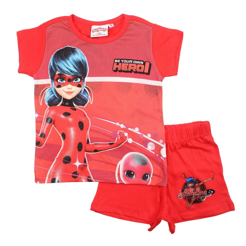 Ensemble Ladybug