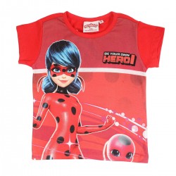 Ensemble Ladybug