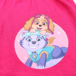 Ensemble Paw patrol