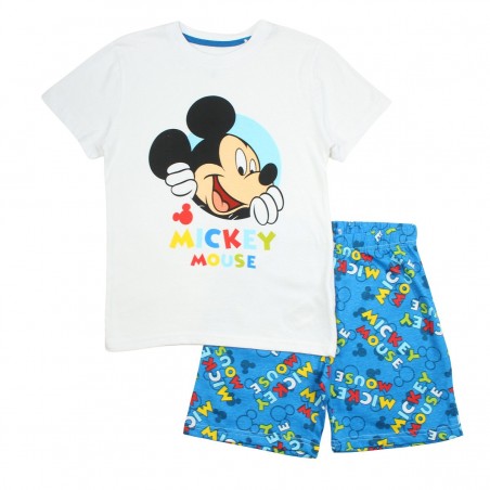 Ensemble Mickey