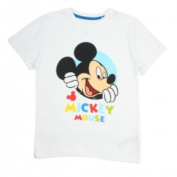 Ensemble Mickey