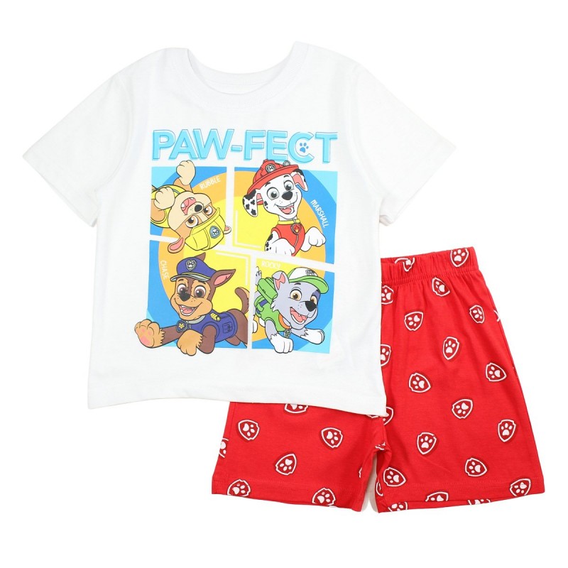 Ensemble Paw Patrol