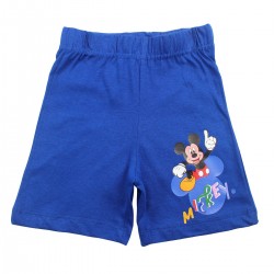 Ensemble Mickey