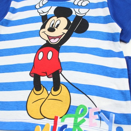 Ensemble Mickey