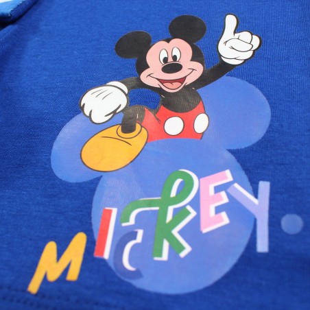 Ensemble Mickey