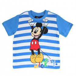 Ensemble Mickey