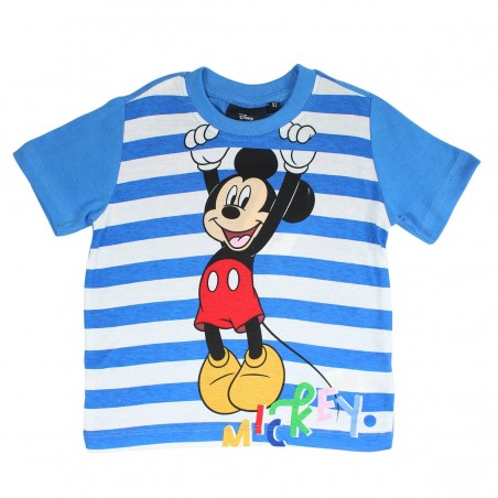 Ensemble Mickey