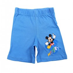 Ensemble Mickey