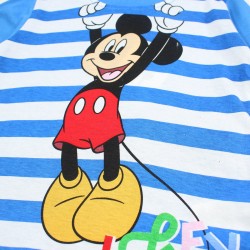 Ensemble Mickey