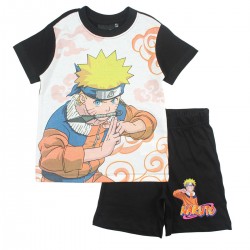 Ensemble Naruto