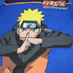 Ensemble Naruto