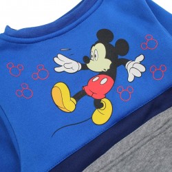 Jogging Mickey