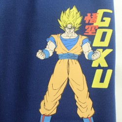 Jogging Dragon Ball Z