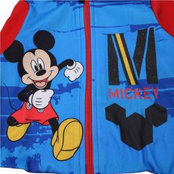 Jogging Mickey