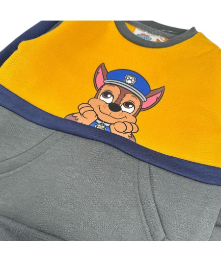 Jogging Paw Patrol