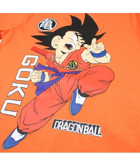 Ensemble Dragon Ball Z